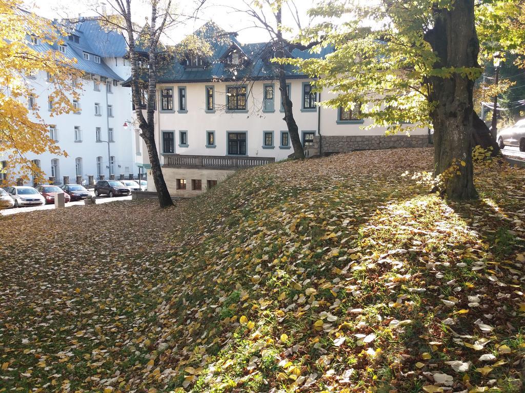 Hotel Tantzi Sinaia Exterior foto